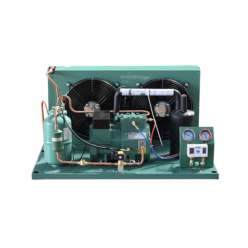 Bitzer Screw Unit