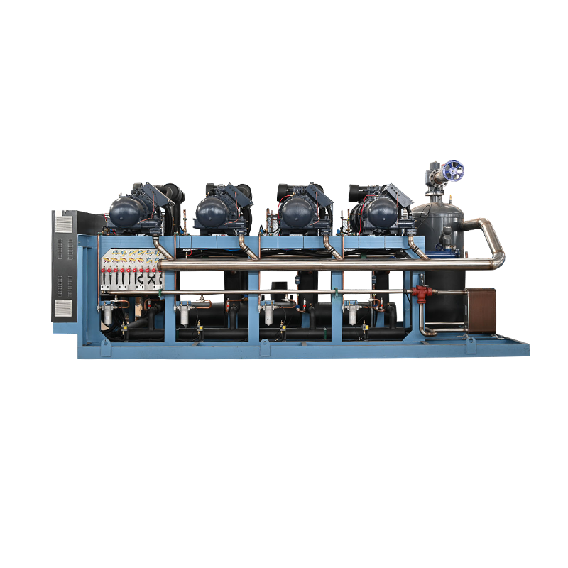 Bizer low-Temperature piston water condensation parallel unit